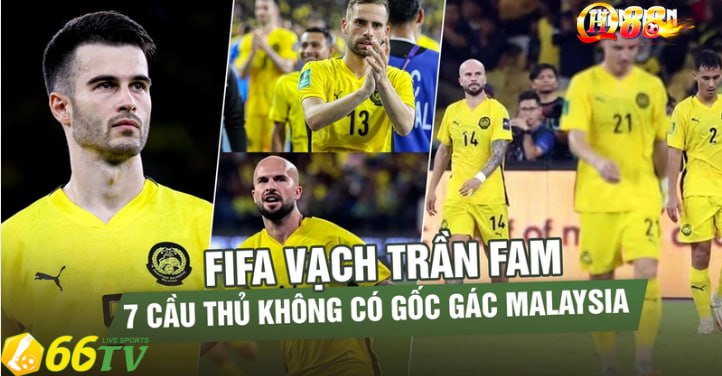 Vào lúc 4h20 sáng ngày 7/10 FIFA công bố kết luận điều tra nơi sinh của ông, bà 7 cầu thủ Malaysia nhập tịch